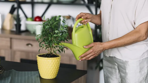 Trouver quelqu'un pour arroser les plantes pendant les vacances